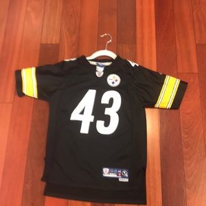 Troy Polamalu jersey